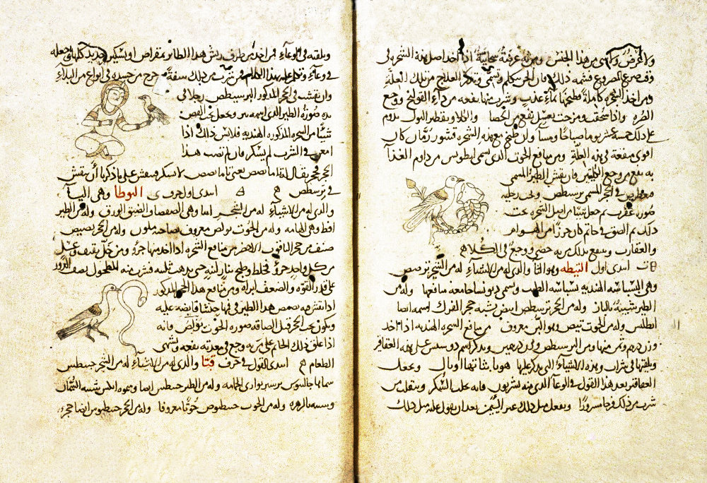 from MS. St. John's College Oxford